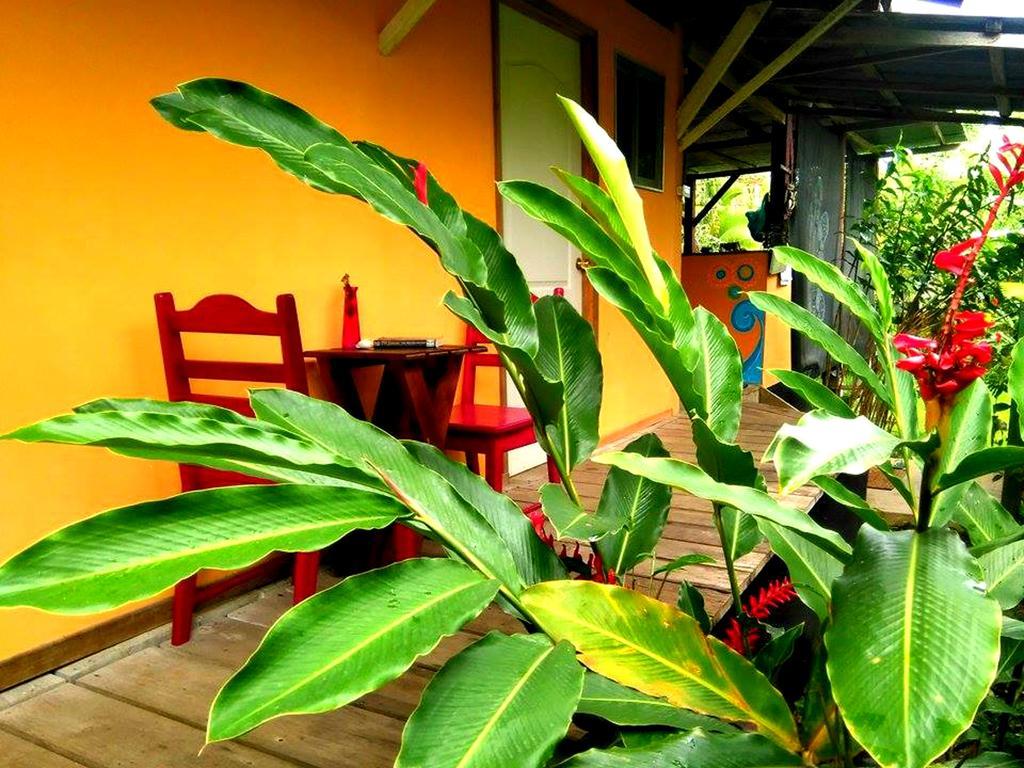 Hostal Camping La Y Griega Bocas del Toro Esterno foto