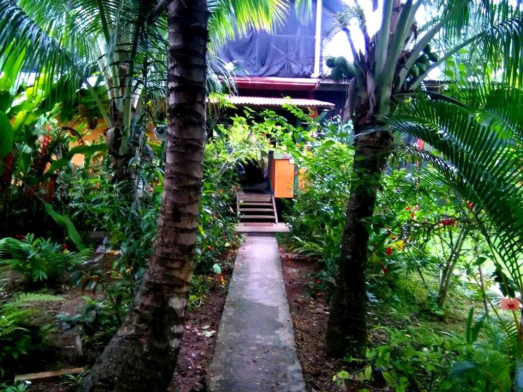 Hostal Camping La Y Griega Bocas del Toro Esterno foto